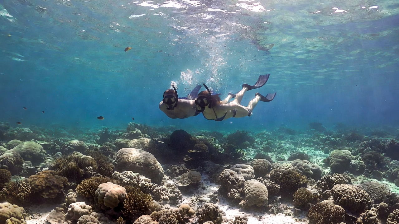 Water Sports Guide — Beach Facilities and Amenities: What to Expect