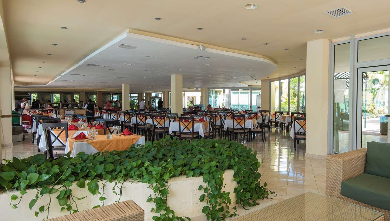 dining