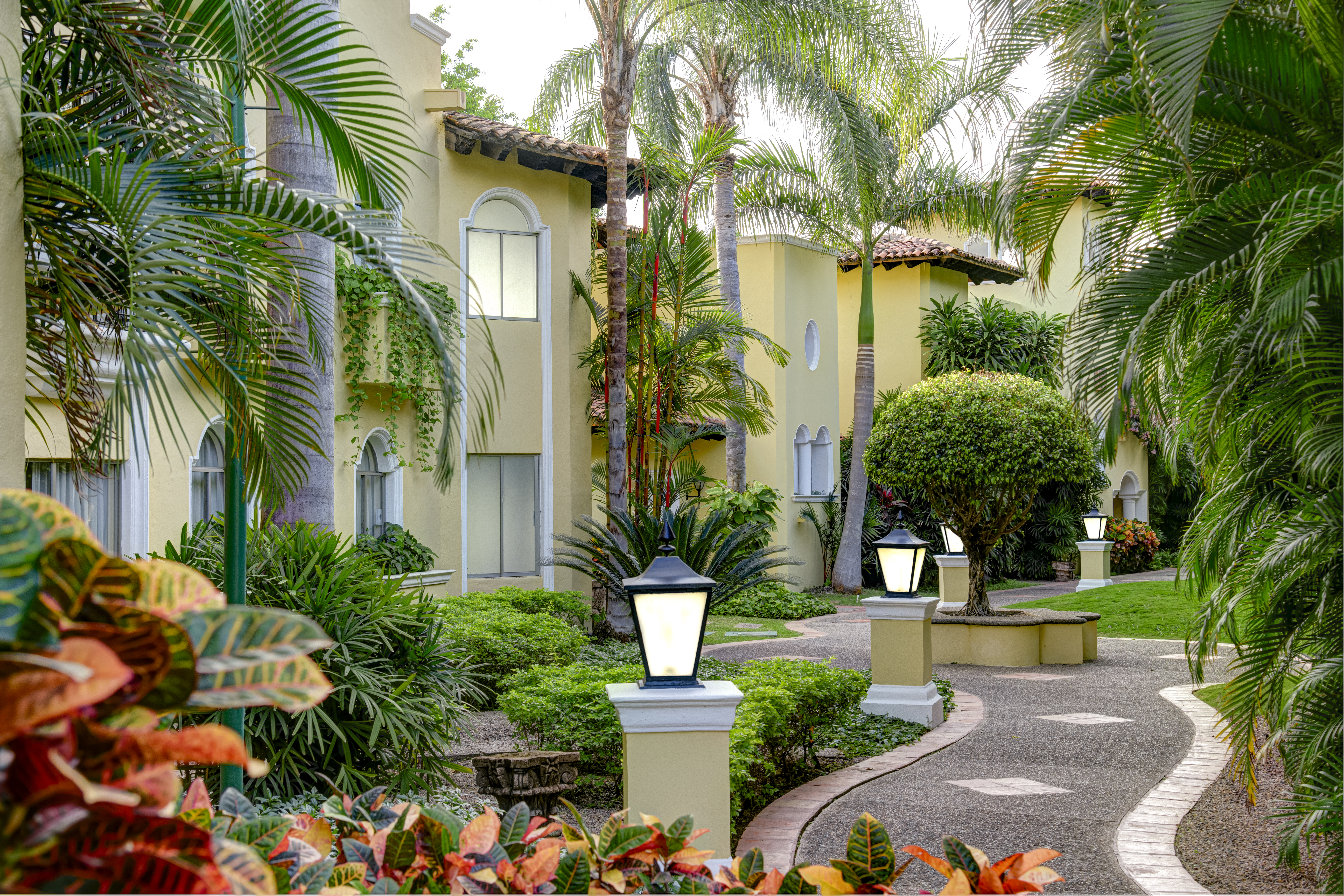 Lush tropical corridor with bougainvillea and palms