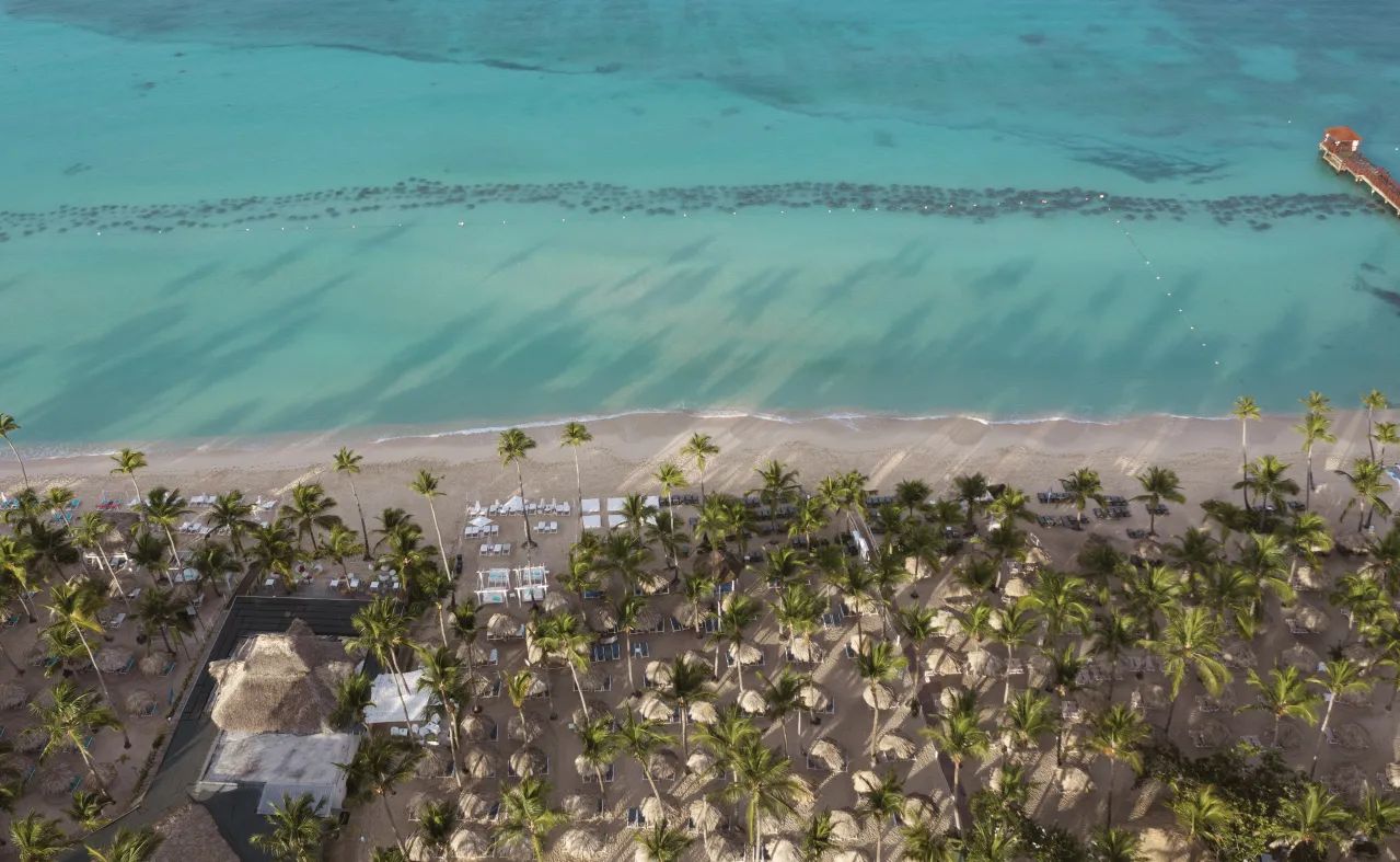 Catalonia Royal La Romana - Adults Only
