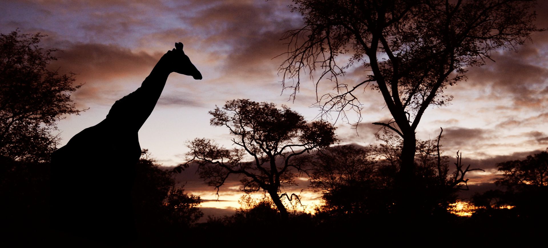 Club Med Vikela Safari Lodge Exterior & Grounds