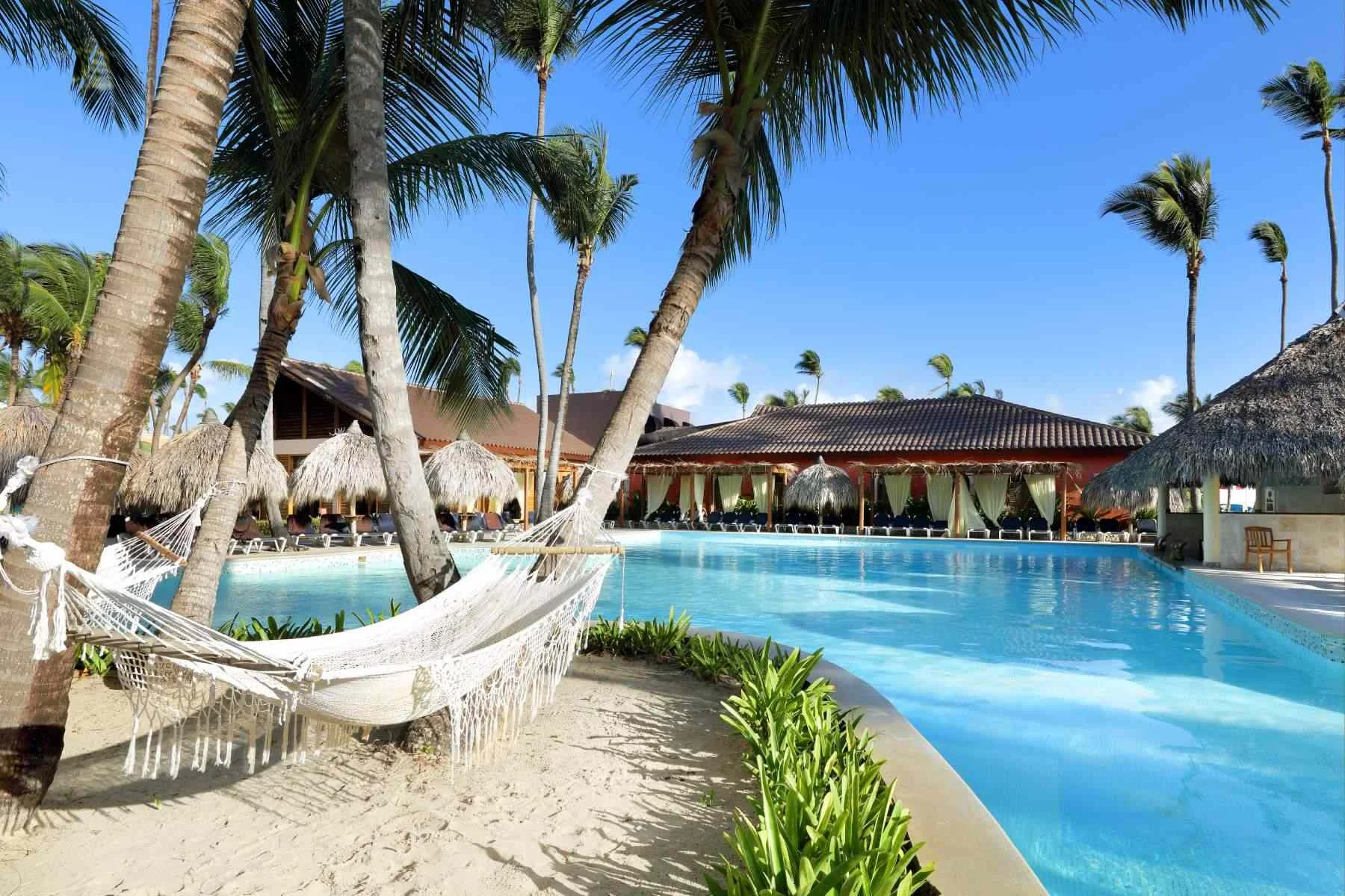Free-form pool surrounded by palm trees and tropical landscaping