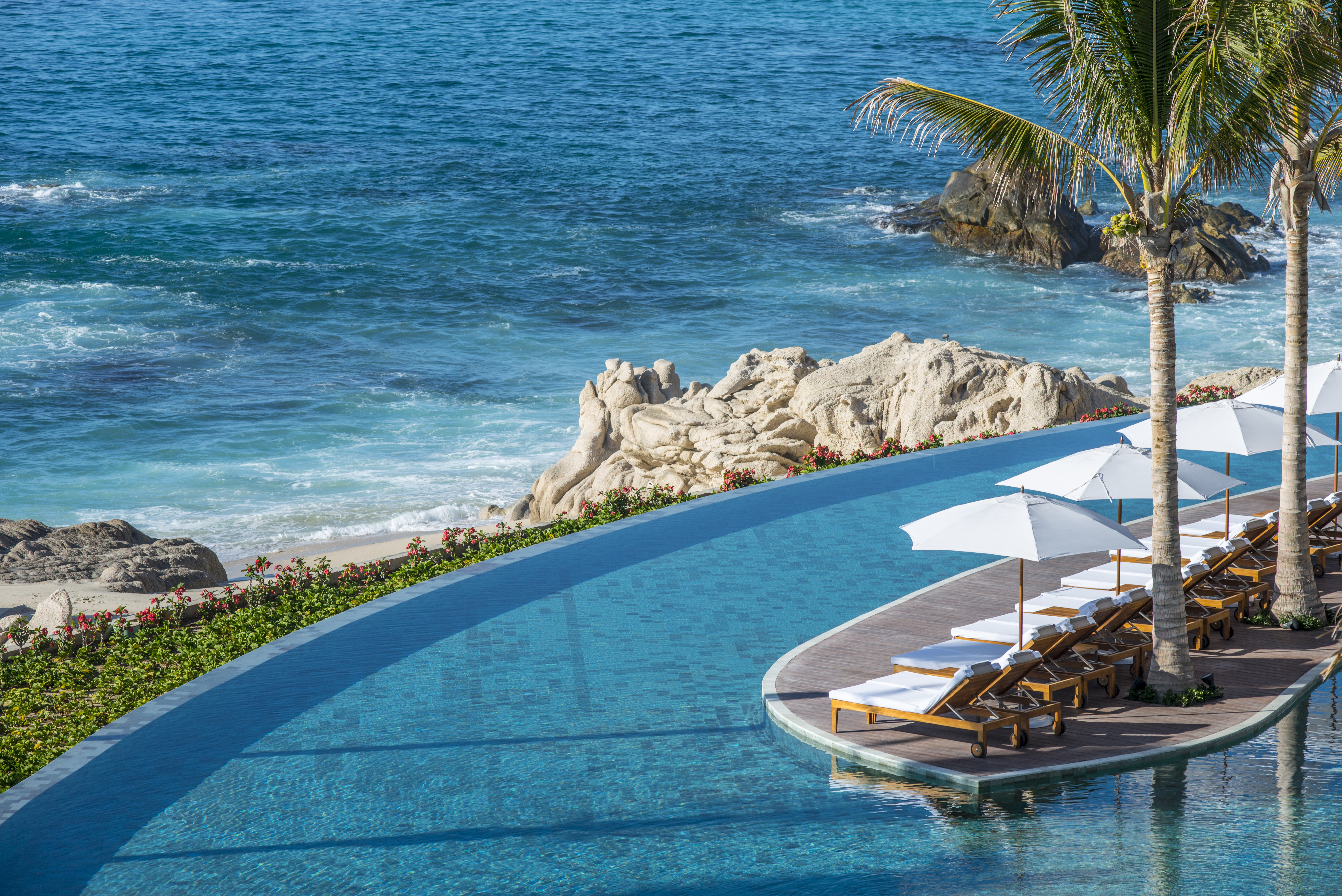 Adults-only infinity pool with panoramic Sea of Cortez views