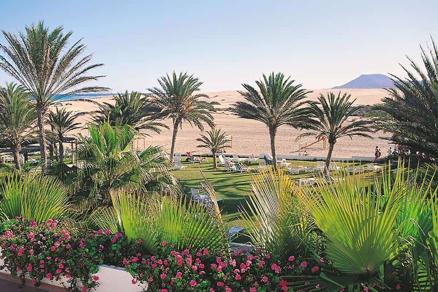 Beach at Hotel Riu Oliva Beach Resort
