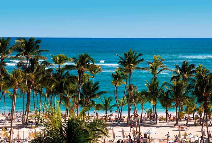 Beach at Hotel Riu Palace Bavaro