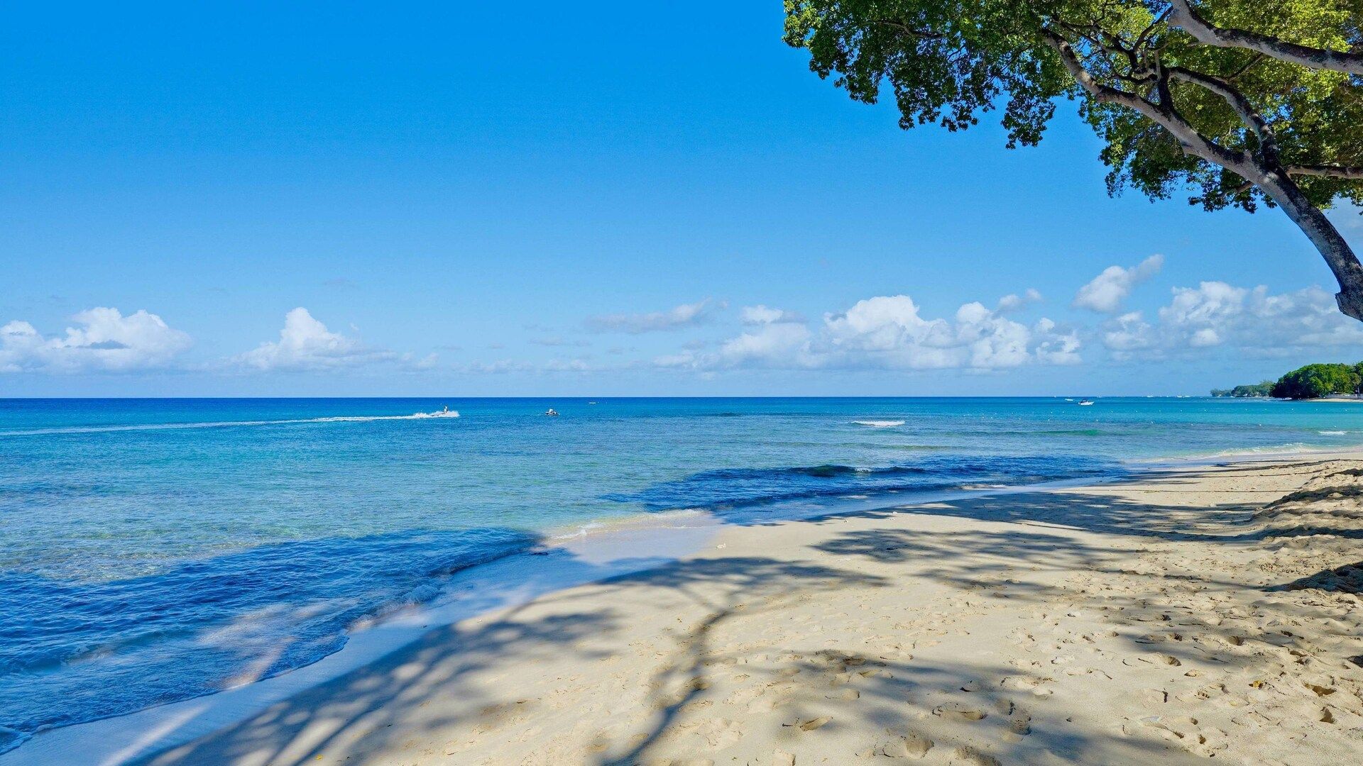 Tamarind, Barbados, An Autograph Collection All Inclusive Resort Activities
