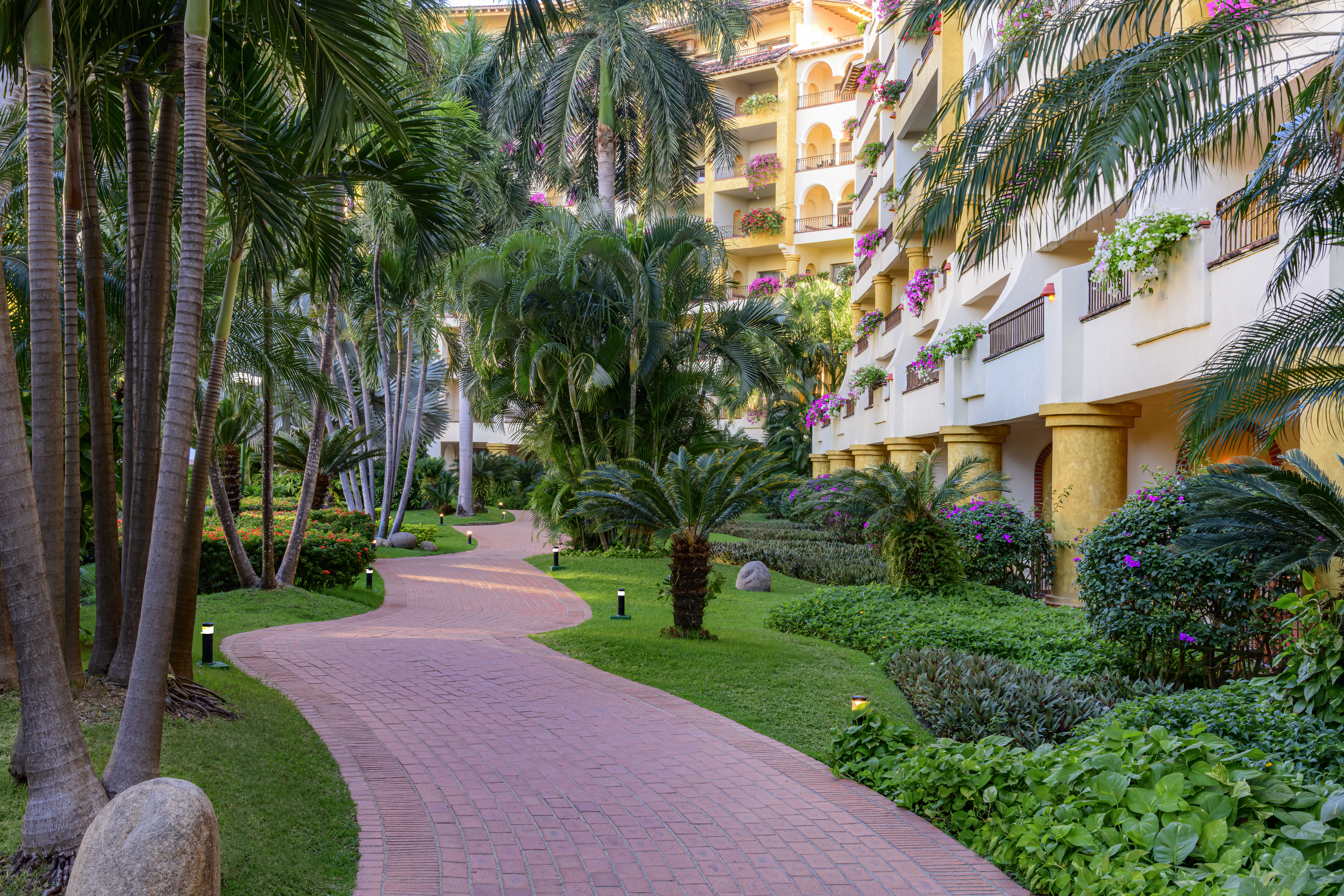 Lush tropical gardens with mature palms and flowering plants
